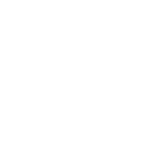 Brand Icon