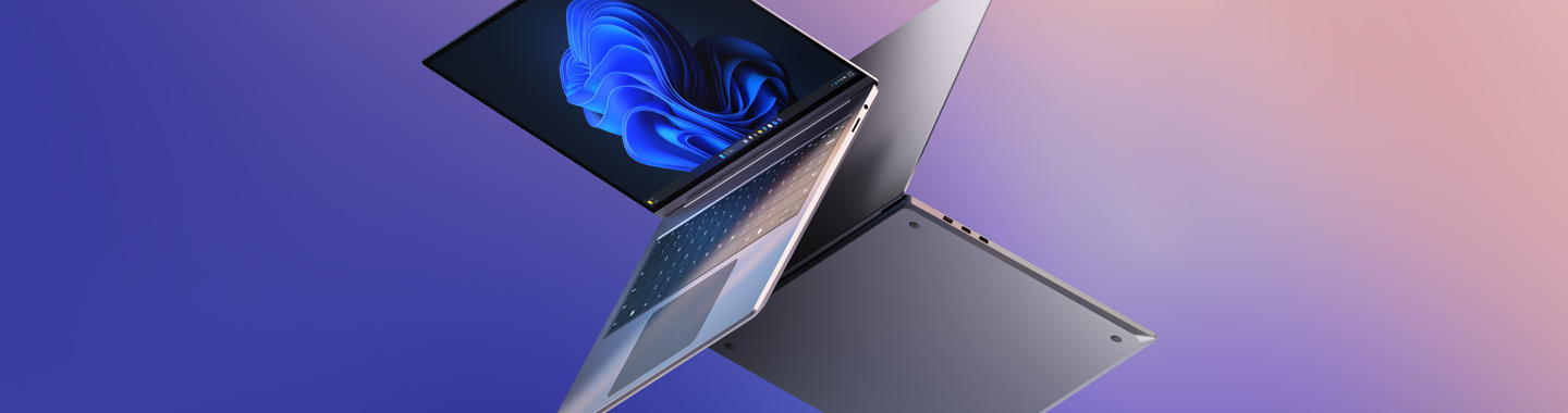 Microsoft Windows 11 Pro mit zwei Business Devices