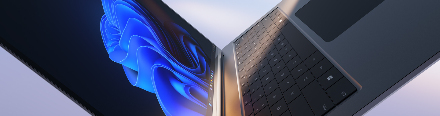 Microsoft Windows 11 Pro mit zwei Business Devices