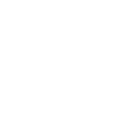 Optimal Icon