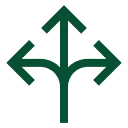 Flexibility Icon