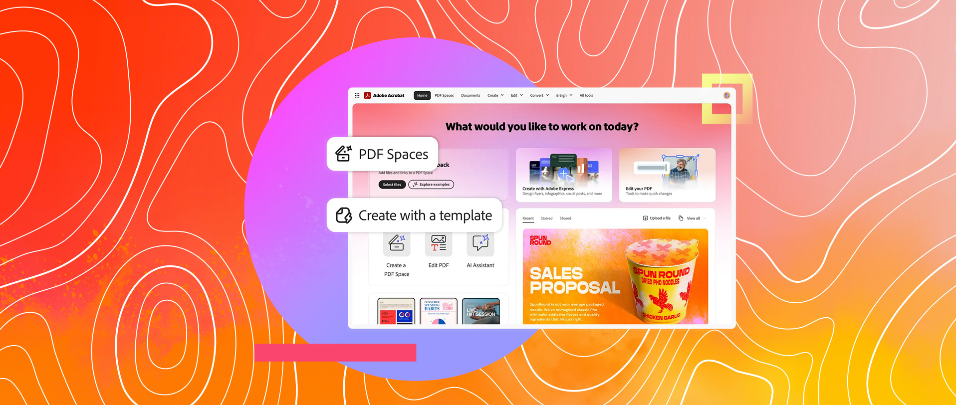 Adobe Acrobat Studio