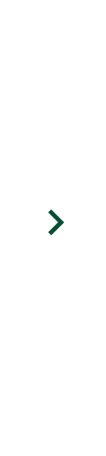 Arrow icon