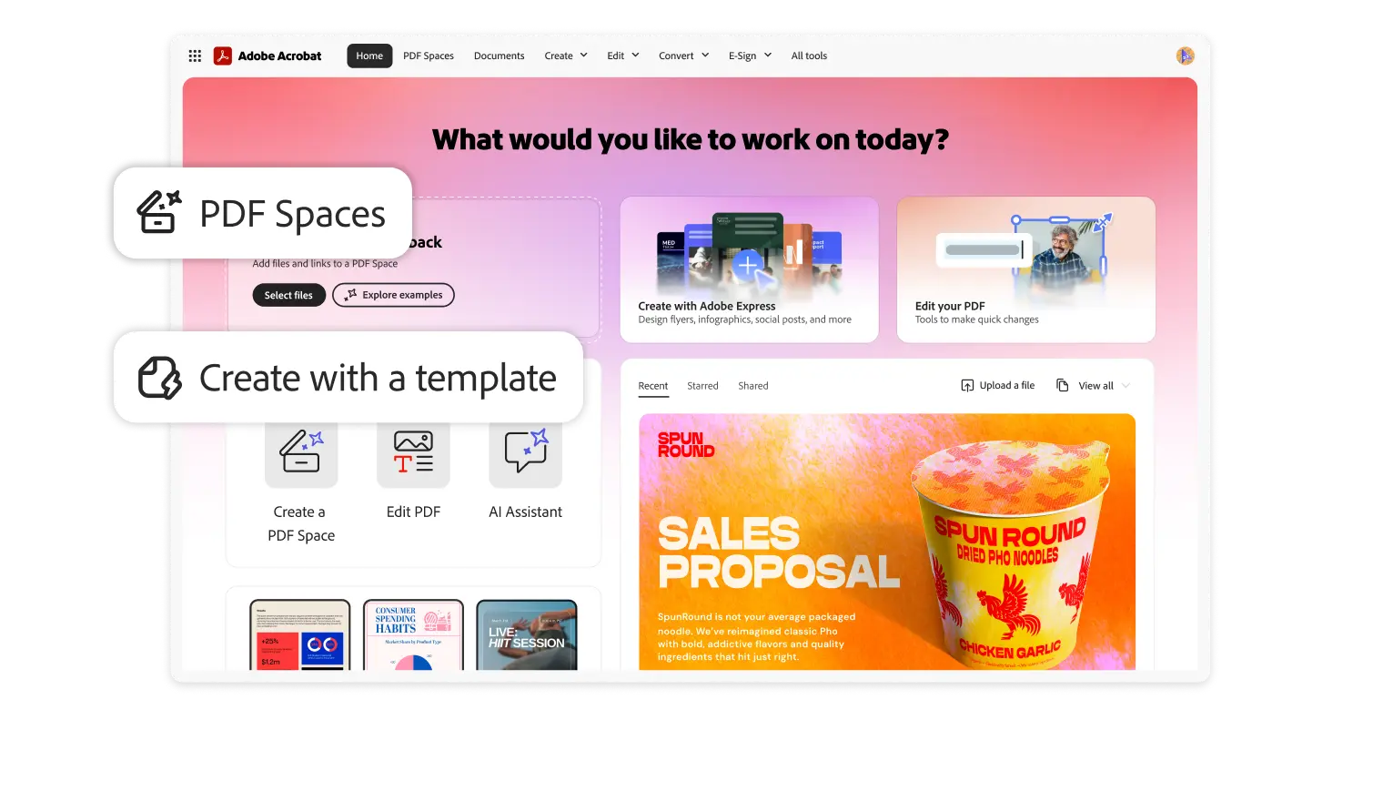 Adobe Acrobat PDF Spaces
