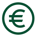 Euro Icon