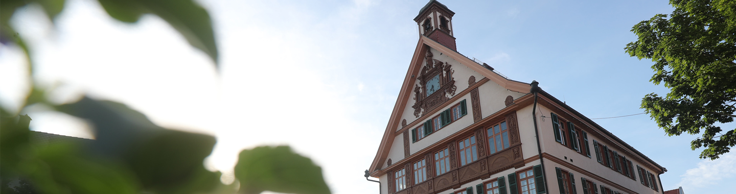 metzingen header image